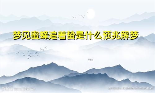 梦见蜜蜂追着蛰是什么预兆解梦