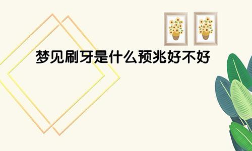 梦见刷牙是什么预兆好不好