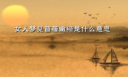 女人梦见苜蓿嫩绿是什么意思