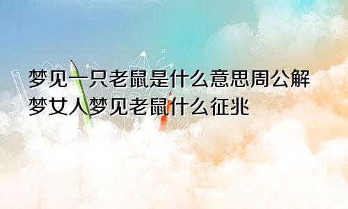梦见一只老鼠是什么意思周公解梦女人梦见老鼠什么征兆