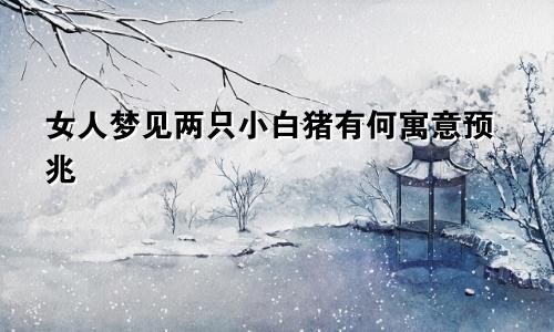 女人梦见两只小白猪有何寓意预兆