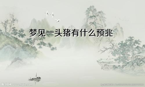 梦见一头猪有什么预兆