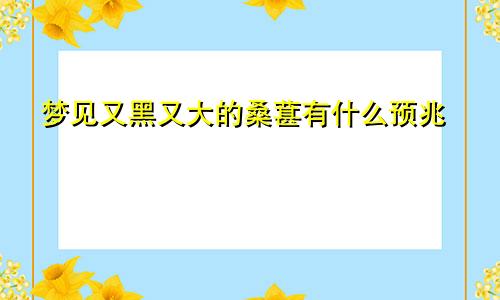 梦见又黑又大的桑葚有什么预兆