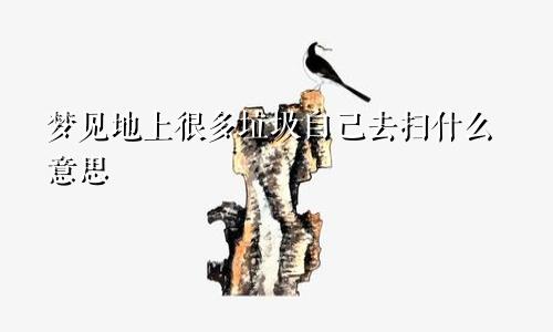 梦见地上很多垃圾自己去扫什么意思