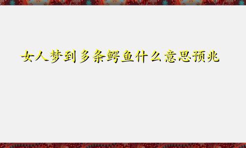 女人梦到多条鳄鱼什么意思预兆