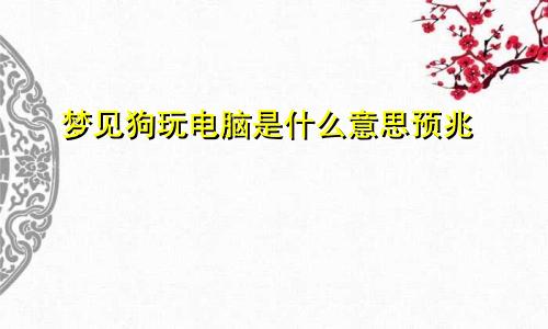 梦见狗玩电脑是什么意思预兆