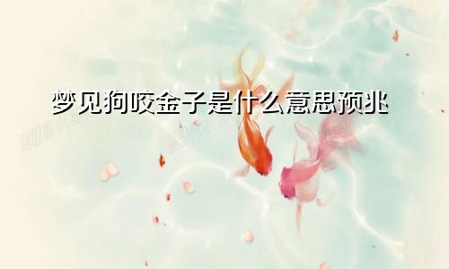 梦见狗咬金子是什么意思预兆