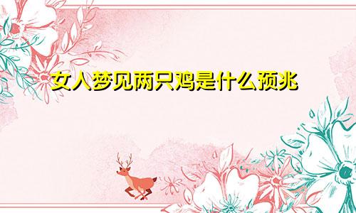 女人梦见两只鸡是什么预兆