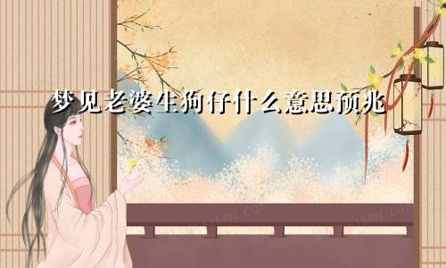 梦见老婆生狗仔什么意思预兆