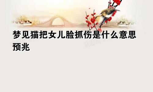 梦见猫把女儿脸抓伤是什么意思预兆