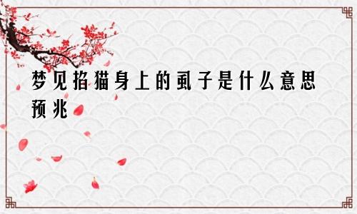 梦见掐猫身上的虱子是什么意思预兆