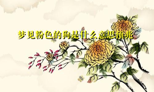 梦见粉色的狗是什么意思预兆