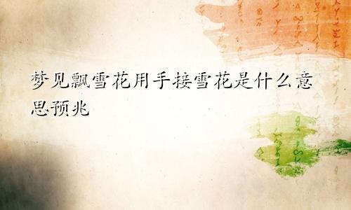 梦见飘雪花用手接雪花是什么意思预兆