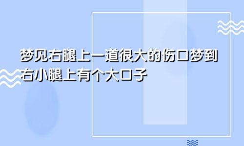 梦见右腿上一道很大的伤口梦到右小腿上有个大口子