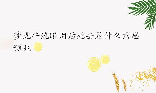 梦见牛流眼泪后死去是什么意思预兆