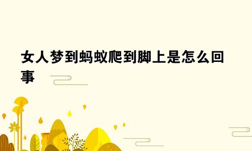女人梦到蚂蚁爬到脚上是怎么回事