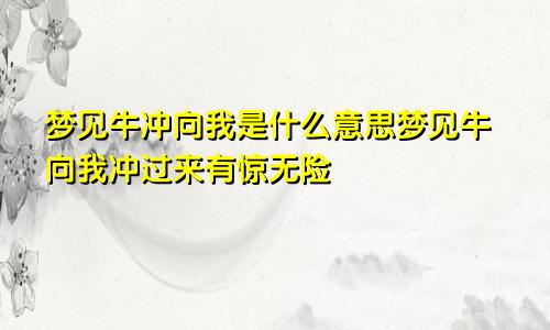 梦见牛冲向我是什么意思梦见牛向我冲过来有惊无险