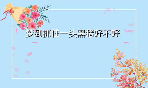 梦到抓住一头黑猪好不好