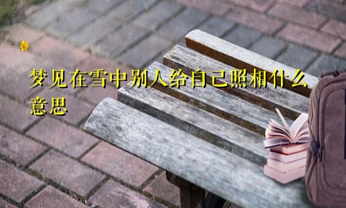 梦见在雪中别人给自己照相什么意思