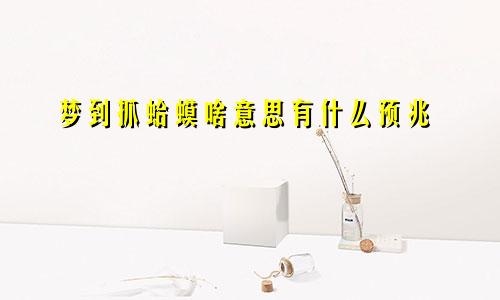 梦到抓蛤蟆啥意思有什么预兆