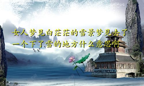 女人梦见白茫茫的雪景梦见去了一个下了雪的地方什么意思啊