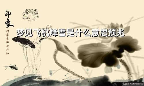梦见飞机降雪是什么意思预兆