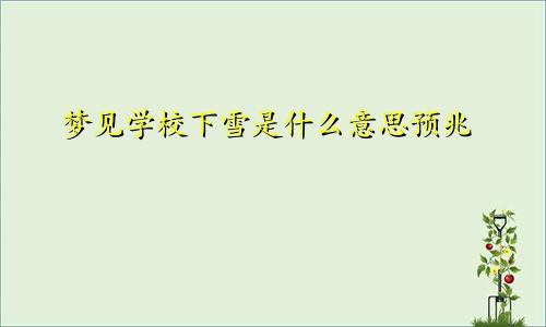 梦见学校下雪是什么意思预兆