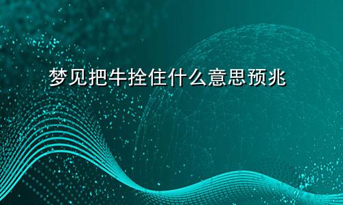 梦见把牛拴住什么意思预兆