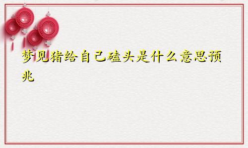 梦见猪给自己磕头是什么意思预兆