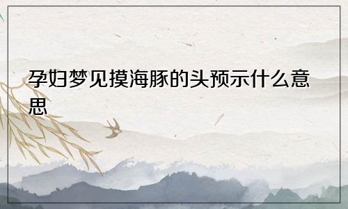 孕妇梦见摸海豚的头预示什么意思