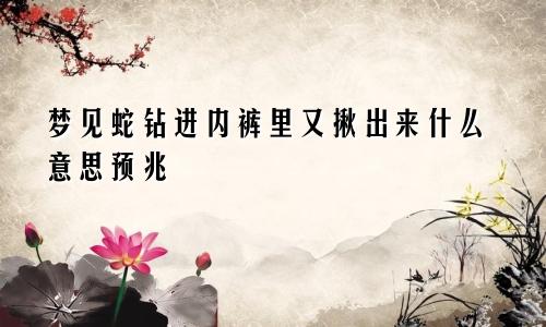 梦见蛇钻进内裤里又揪出来什么意思预兆