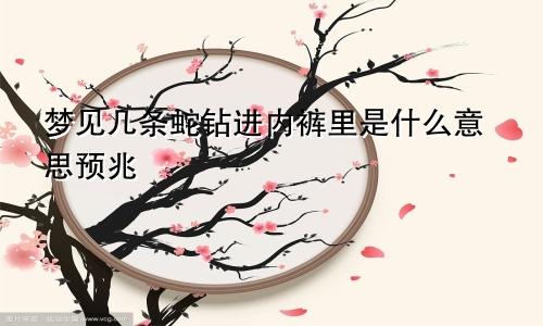 梦见几条蛇钻进内裤里是什么意思预兆