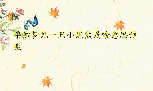 孕妇梦见一只小黑熊是啥意思预兆