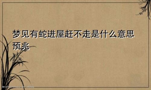 梦见有蛇进屋赶不走是什么意思预兆