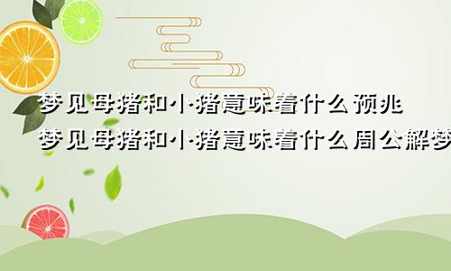 梦见母猪和小猪意味着什么预兆梦见母猪和小猪意味着什么周公解梦