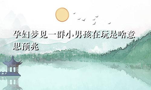 孕妇梦见一群小男孩在玩是啥意思预兆