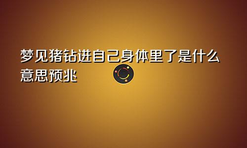梦见猪钻进自己身体里了是什么意思预兆