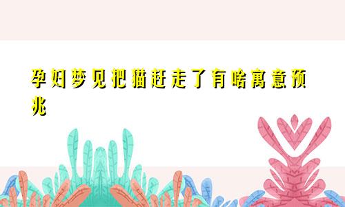 孕妇梦见把猫赶走了有啥寓意预兆