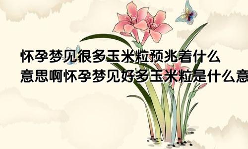 怀孕梦见很多玉米粒预兆着什么意思啊怀孕梦见好多玉米粒是什么意思