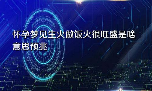怀孕梦见生火做饭火很旺盛是啥意思预兆