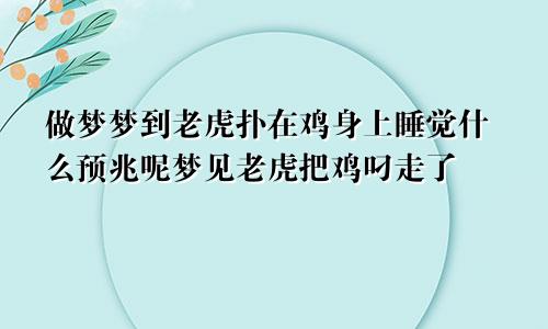 做梦梦到老虎扑在鸡身上睡觉什么预兆呢梦见老虎把鸡叼走了