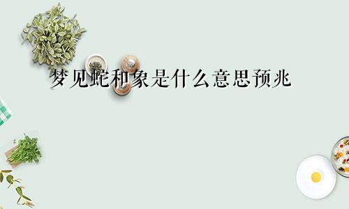 梦见蛇和象是什么意思预兆