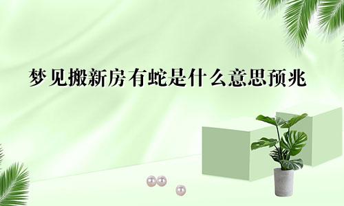 梦见搬新房有蛇是什么意思预兆