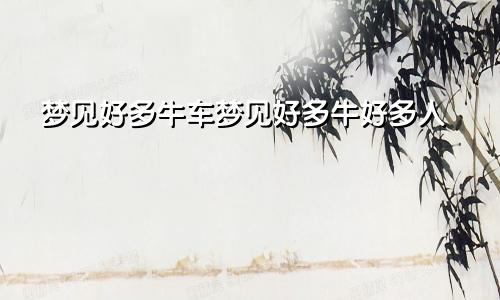 梦见好多牛车梦见好多牛好多人