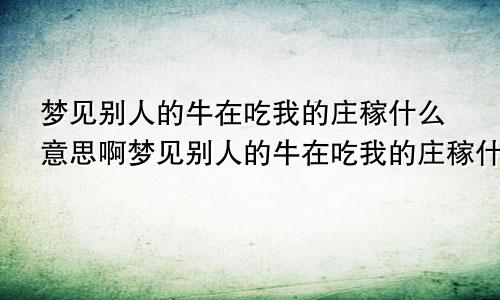 梦见别人的牛在吃我的庄稼什么意思啊梦见别人的牛在吃我的庄稼什么意思呀