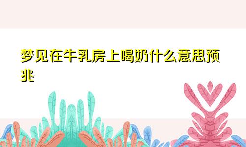 梦见在牛乳房上喝奶什么意思预兆