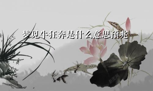 梦见牛狂奔是什么意思预兆