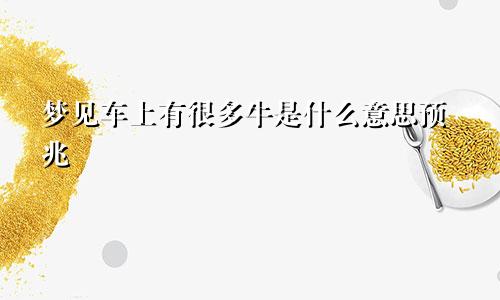 梦见车上有很多牛是什么意思预兆