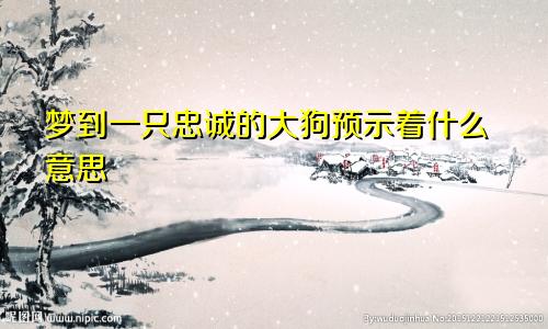 梦到一只忠诚的大狗预示着什么意思