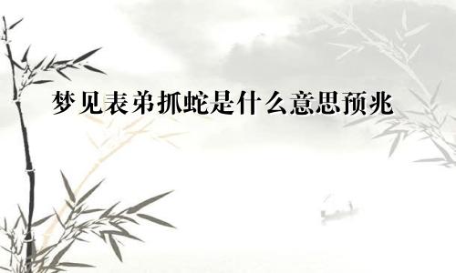 梦见表弟抓蛇是什么意思预兆